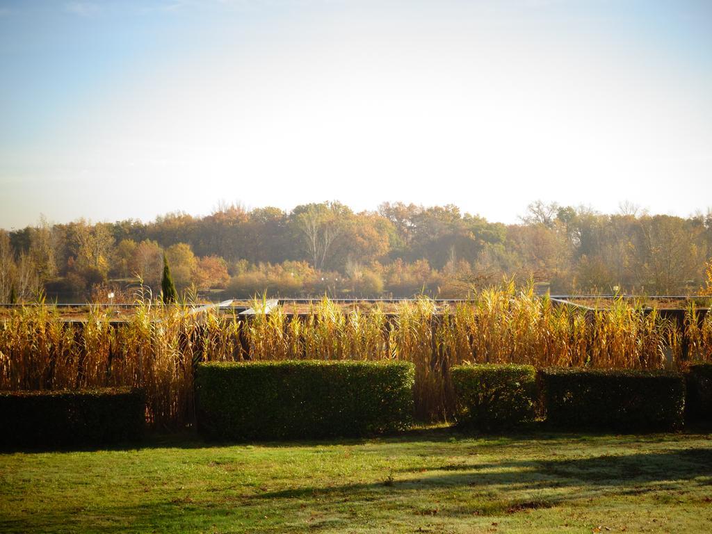 Domaine D'Ariane Hotell Mondonville Eksteriør bilde